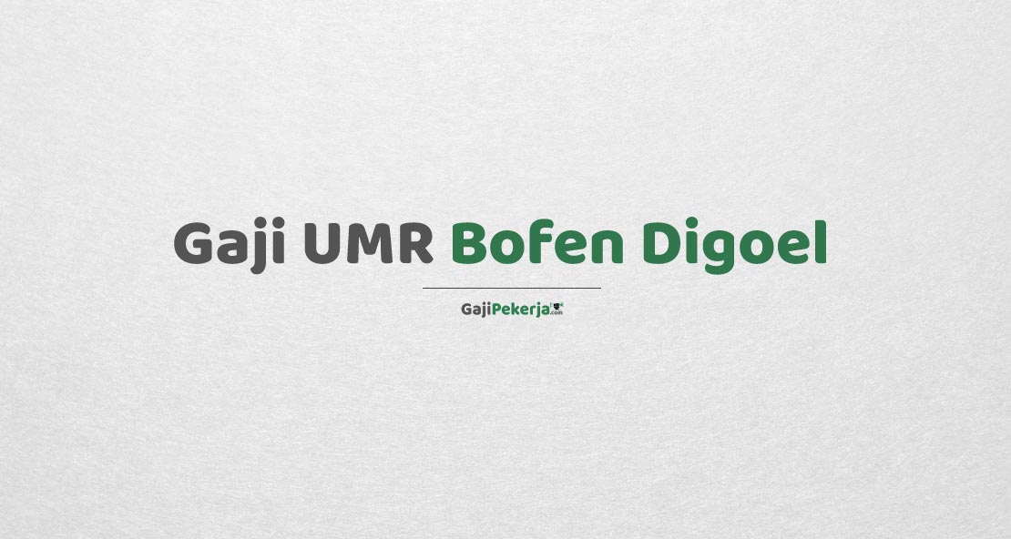 Gaji UMR Bofen Digoel