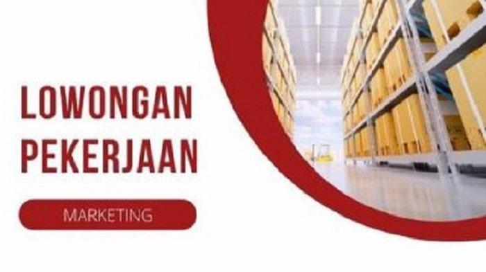 Lowongan Kerja Kendari PT Samudera Timur Cemerlang Buka Loker Marketing